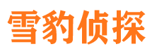 兴庆市私家侦探